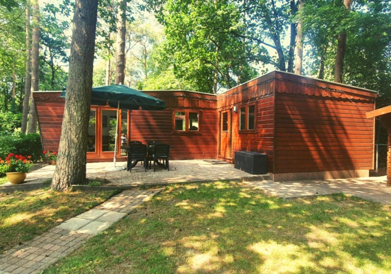 Chalet L2 Dennenrhode Doornspijk Exterior foto